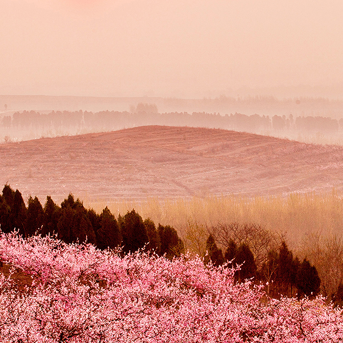 918������ׯ԰